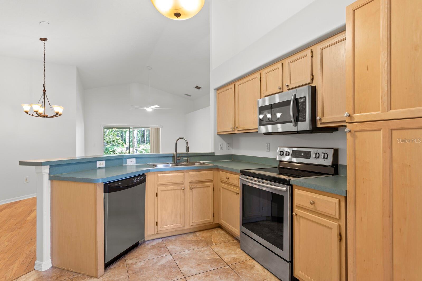 16037 SHINNECOCK DR, ODESSA, FL, 33556
