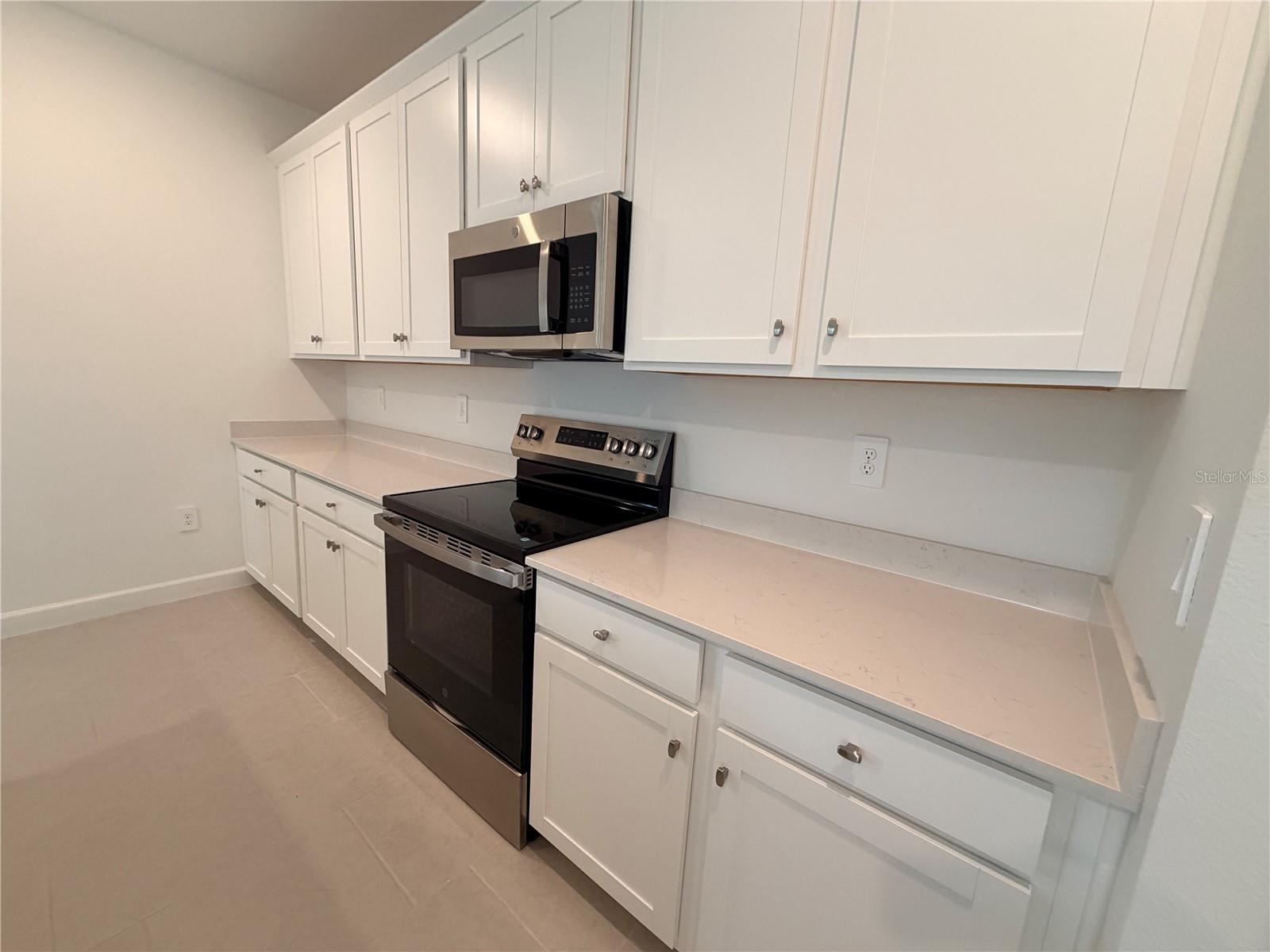 3917 PASSION VINE DR, ALVA, FL, 33920
