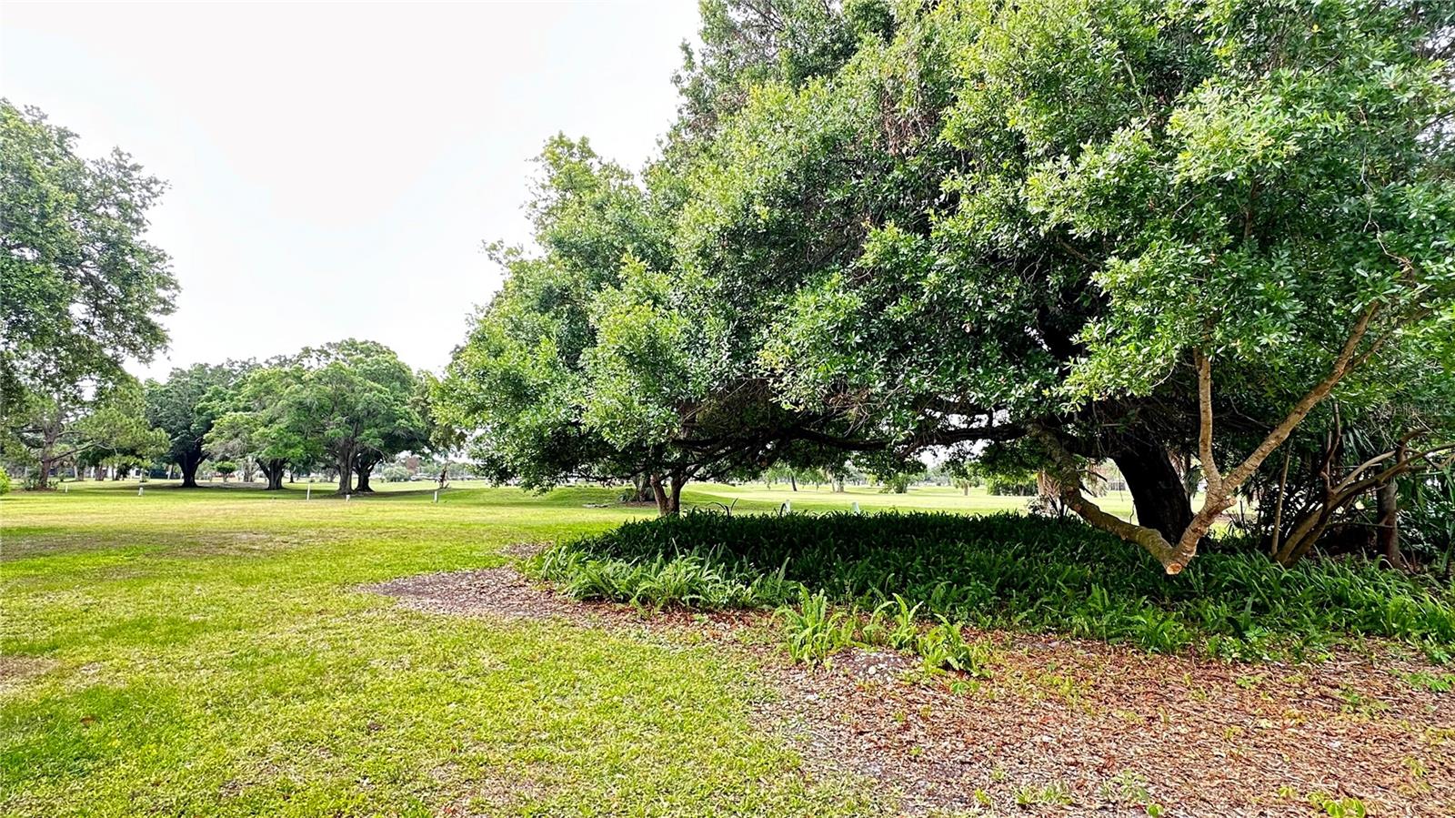 1225 SAINT ANDREWS DR, ROCKLEDGE, FL, 32955