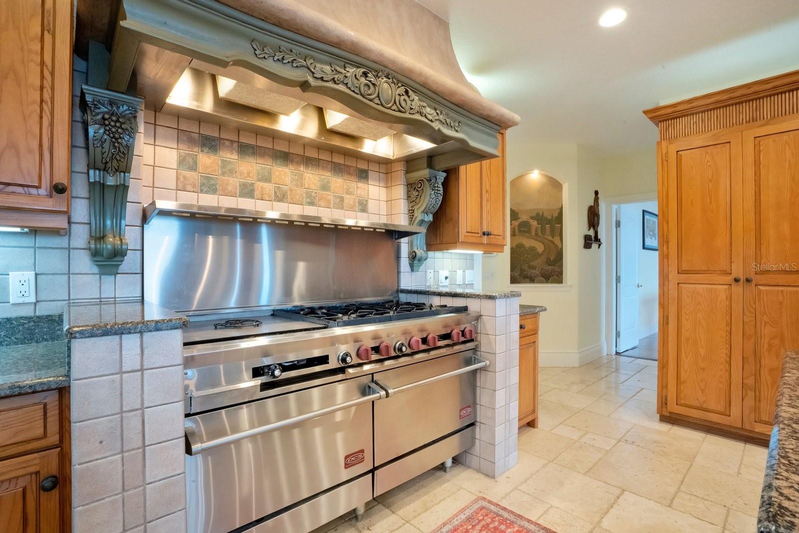 133 VAN FLEET CT, AUBURNDALE, FL, 33823