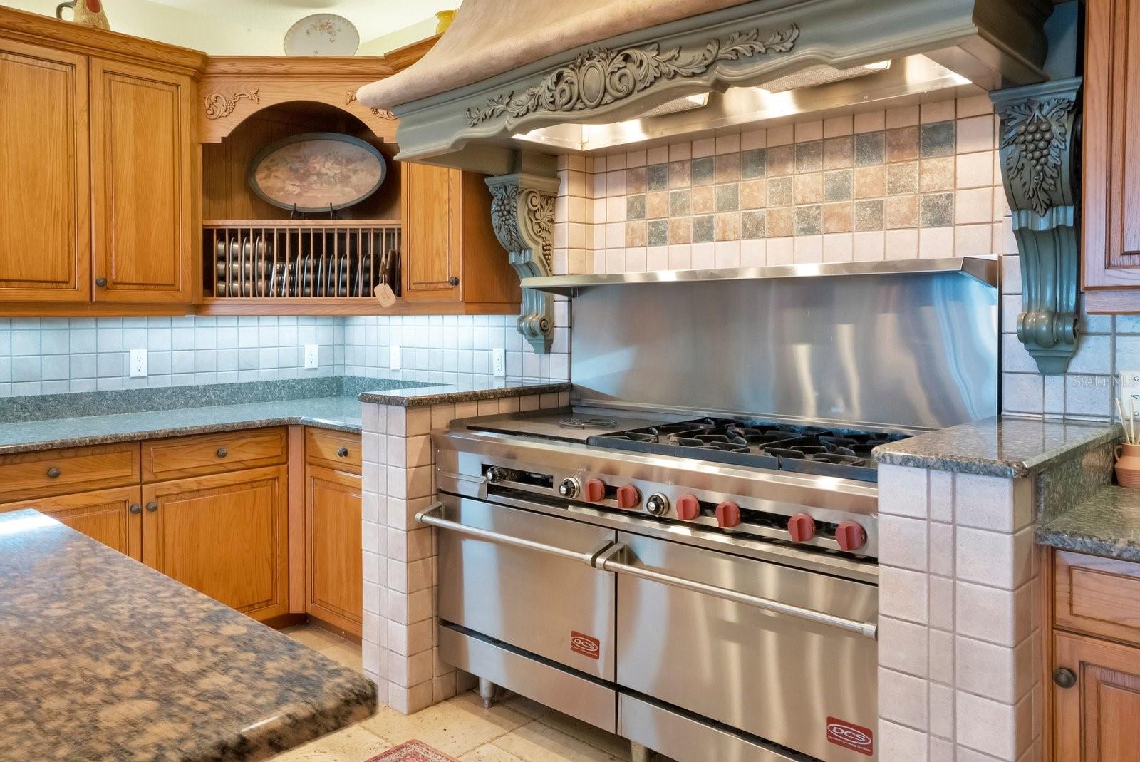 133 VAN FLEET CT, AUBURNDALE, FL, 33823