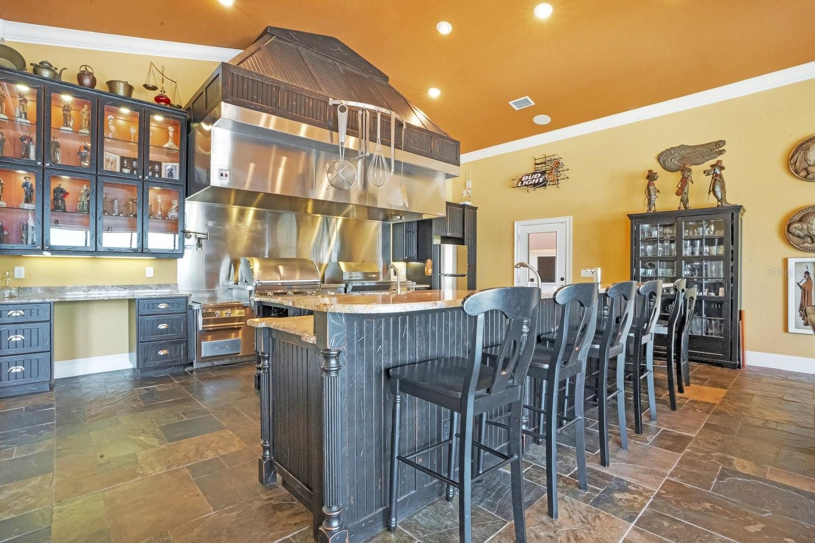 133 VAN FLEET CT, AUBURNDALE, FL, 33823