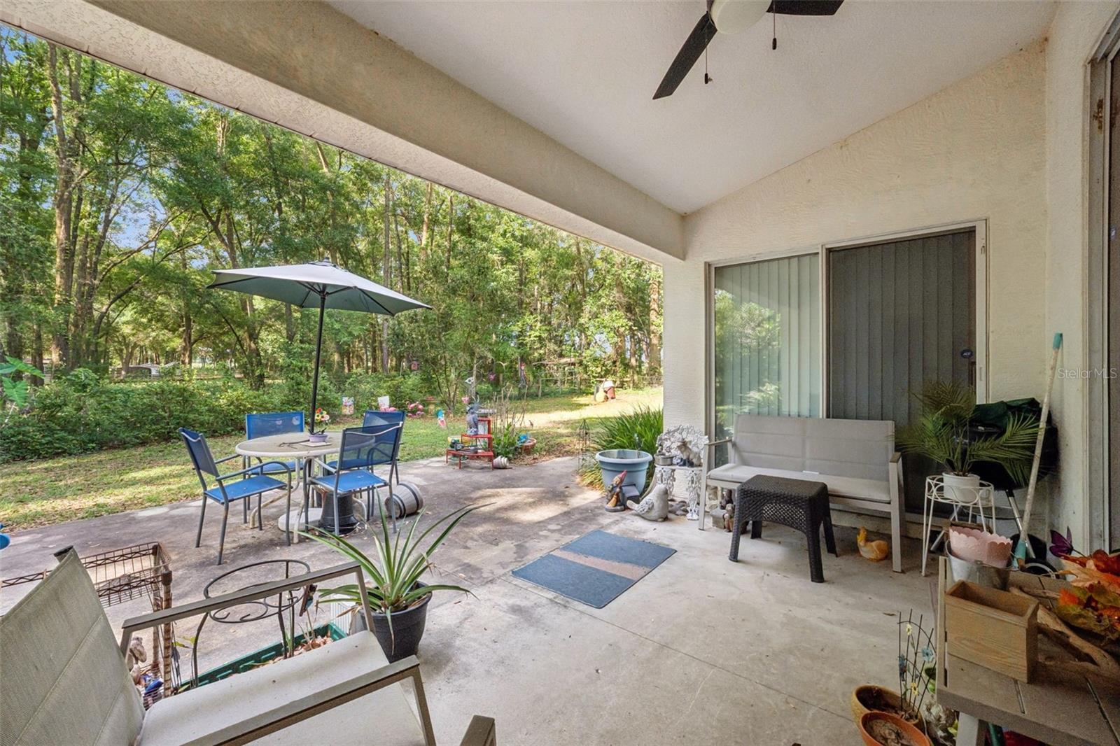 16230 NW 53RD ST, MORRISTON, FL, 32668