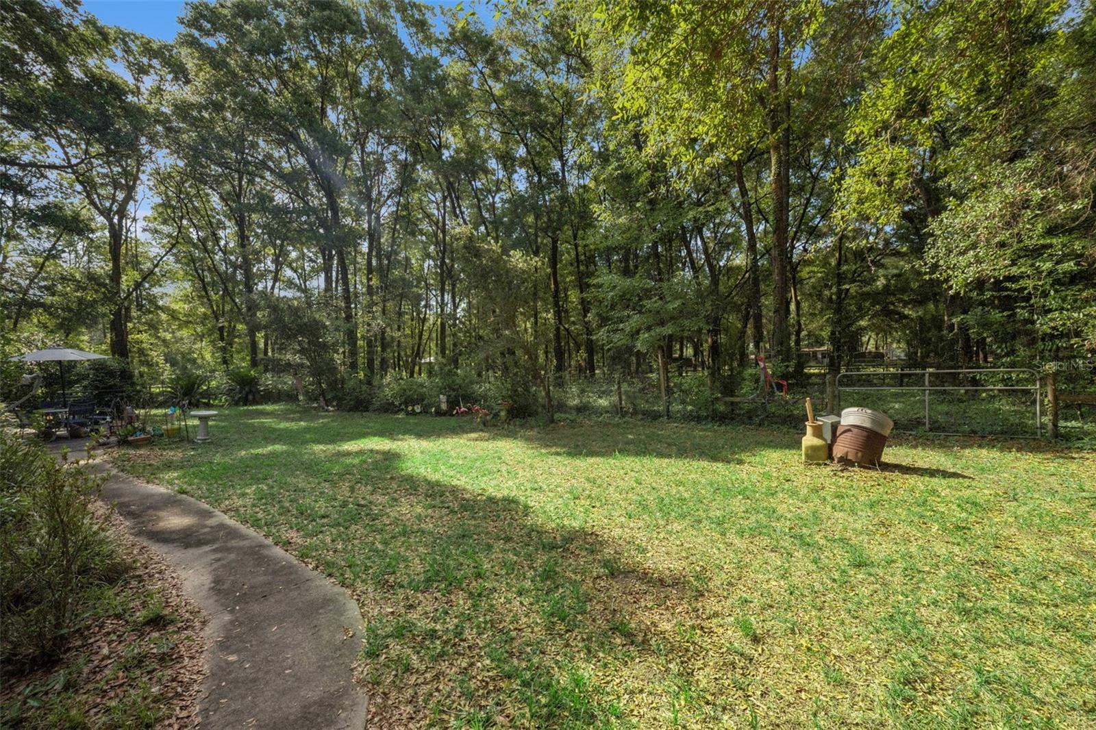 16230 NW 53RD ST, MORRISTON, FL, 32668