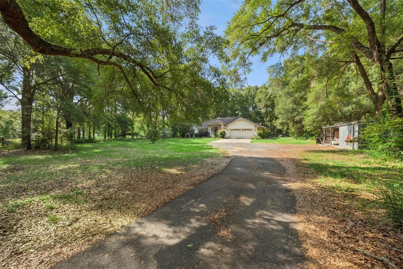 16230 NW 53RD ST, MORRISTON, FL, 32668