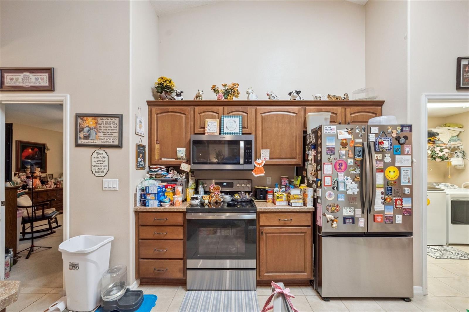 16230 NW 53RD ST, MORRISTON, FL, 32668