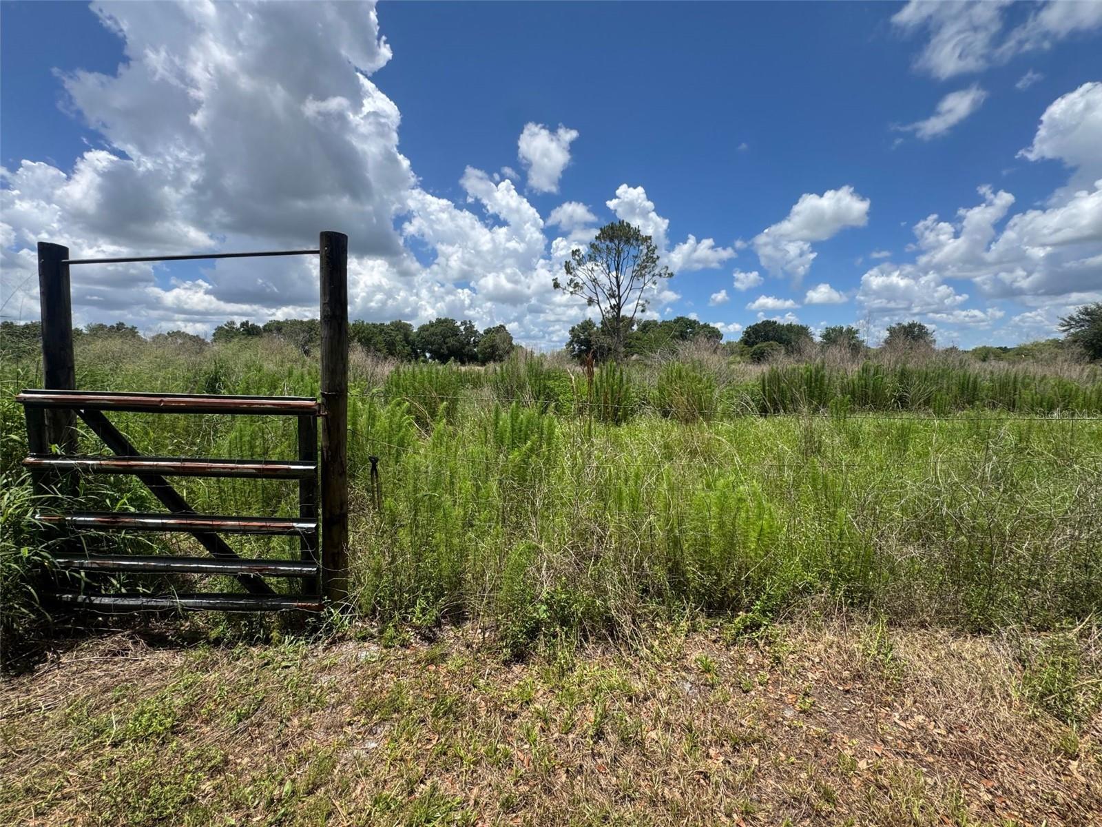 9827 SE HOTH RD, ARCADIA, FL, 34266