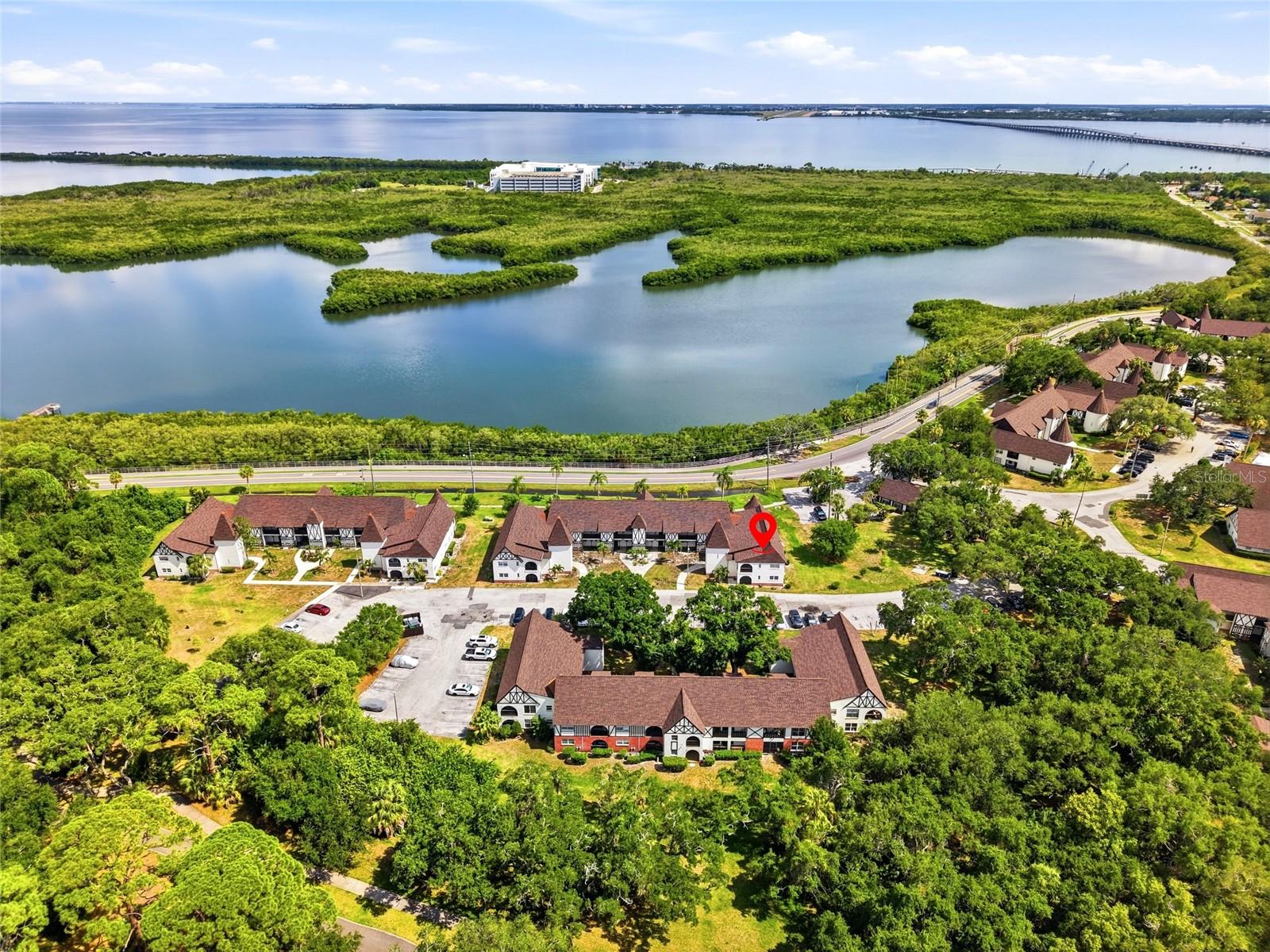 316 N BAYSHORE BLVD #208, CLEARWATER, FL, 33759