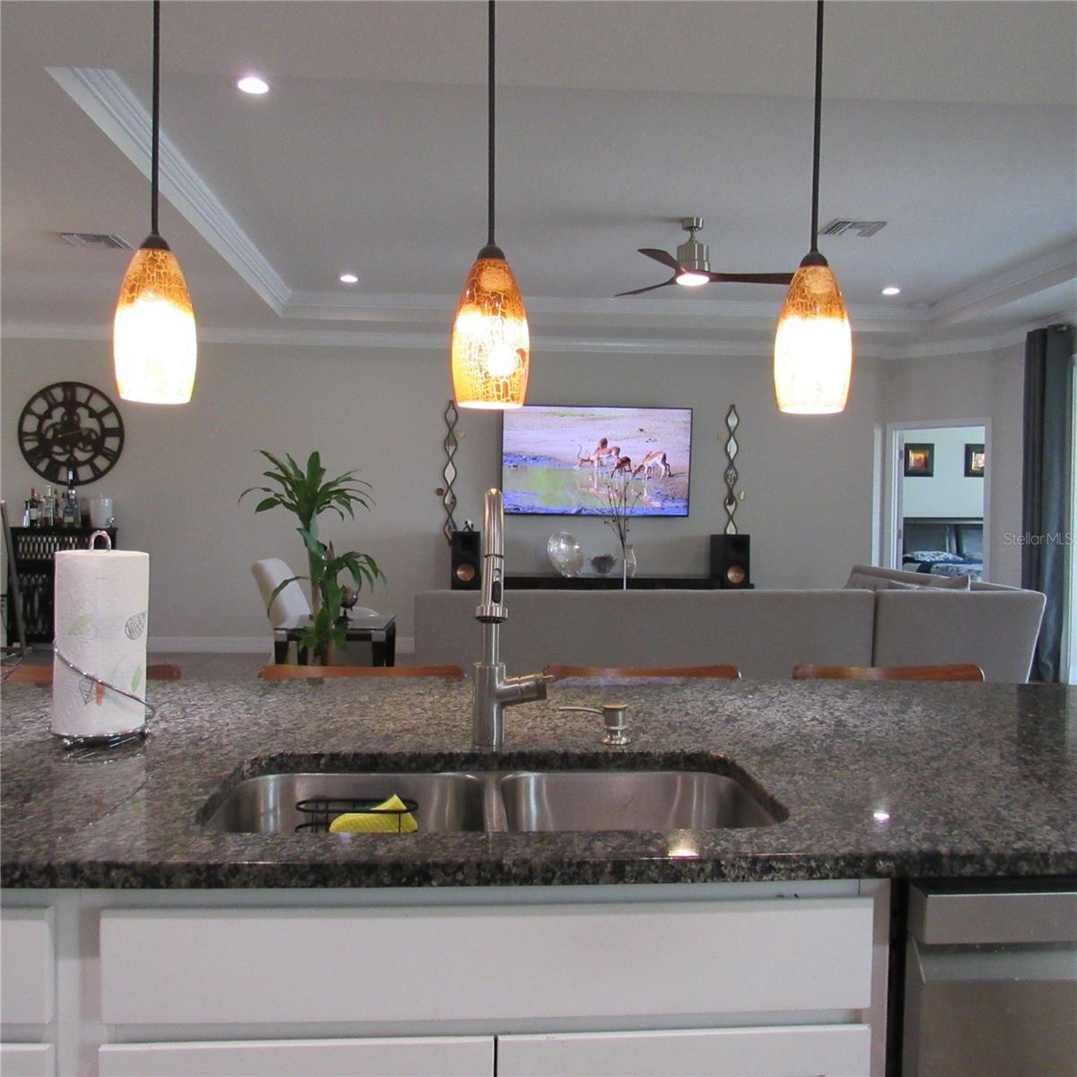 15609 TRINITY FALL WAY, BRADENTON, FL, 34212