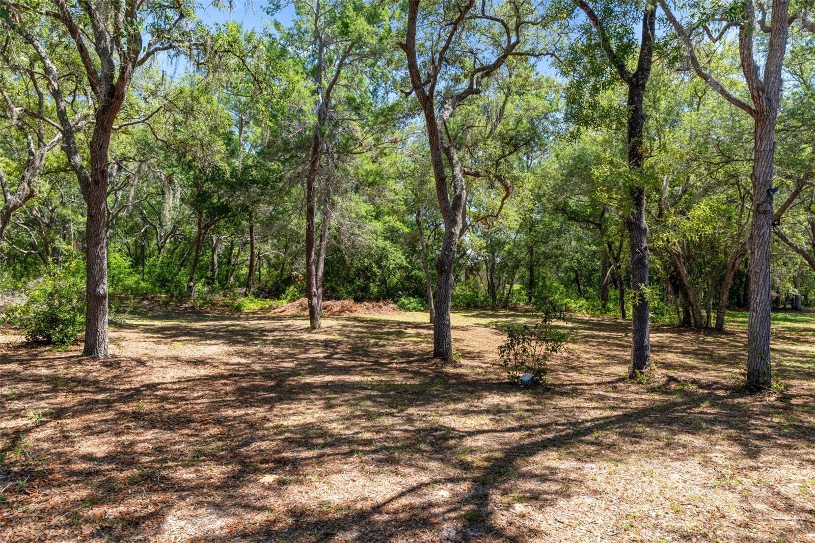 1761 E CLEVELAND ST, HERNANDO, FL, 34442