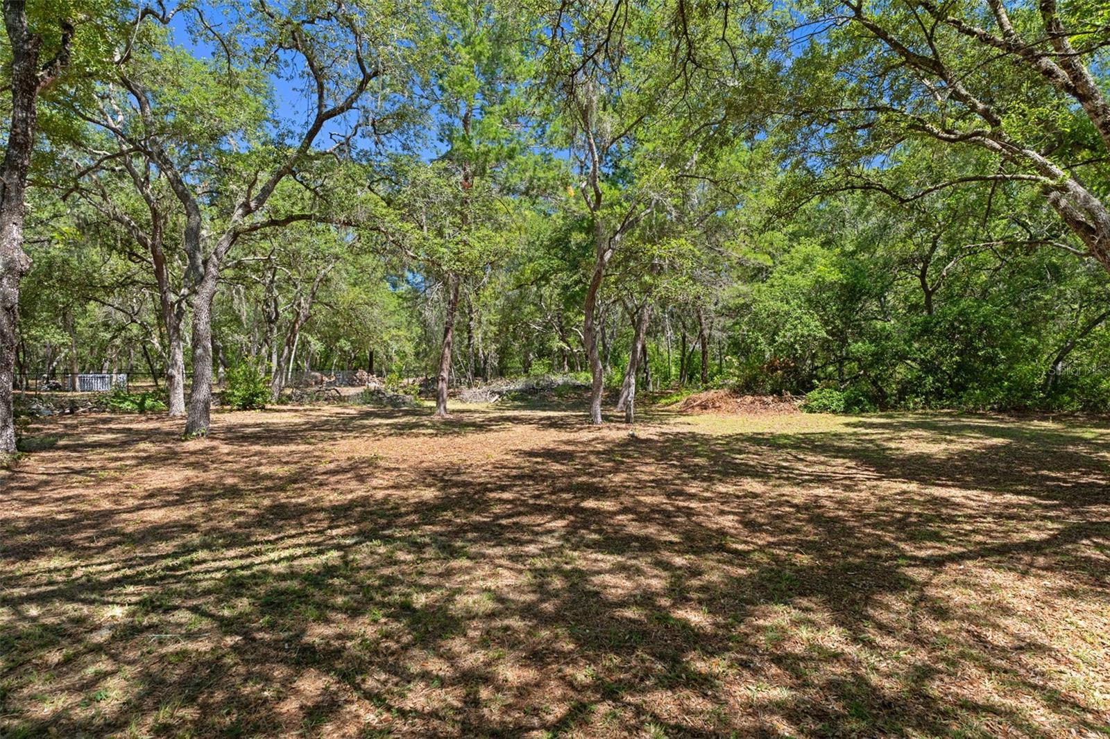 1761 E CLEVELAND ST, HERNANDO, FL, 34442
