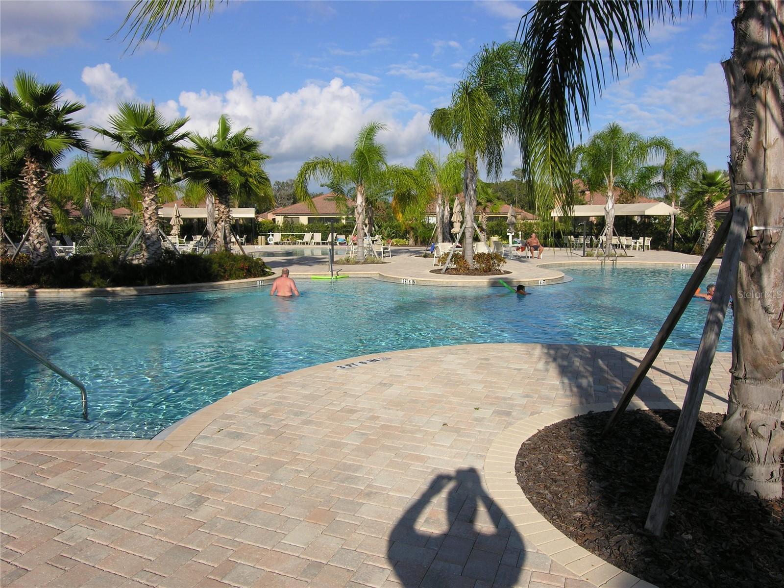 107 SHELL FALLS DR, APOLLO BEACH, FL, 33572