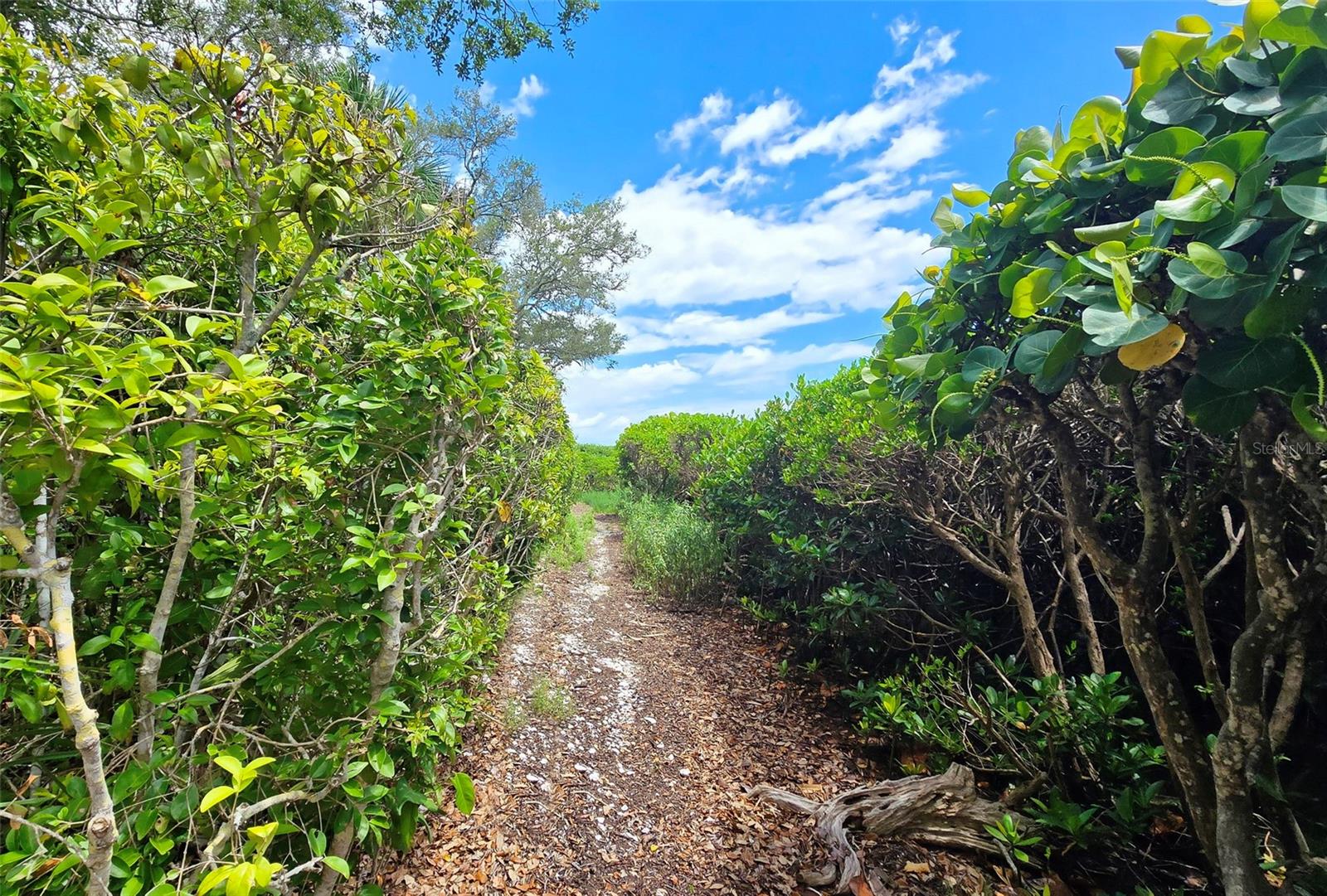 1335 LANDINGS DR #9, SARASOTA, FL, 34231