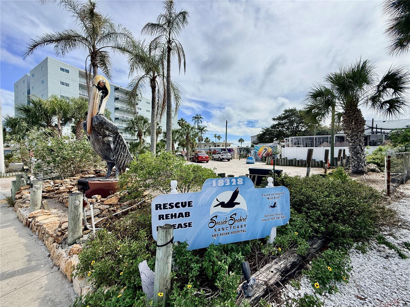 18400 GULF BLVD #2103, INDIAN SHORES, FL, 33785