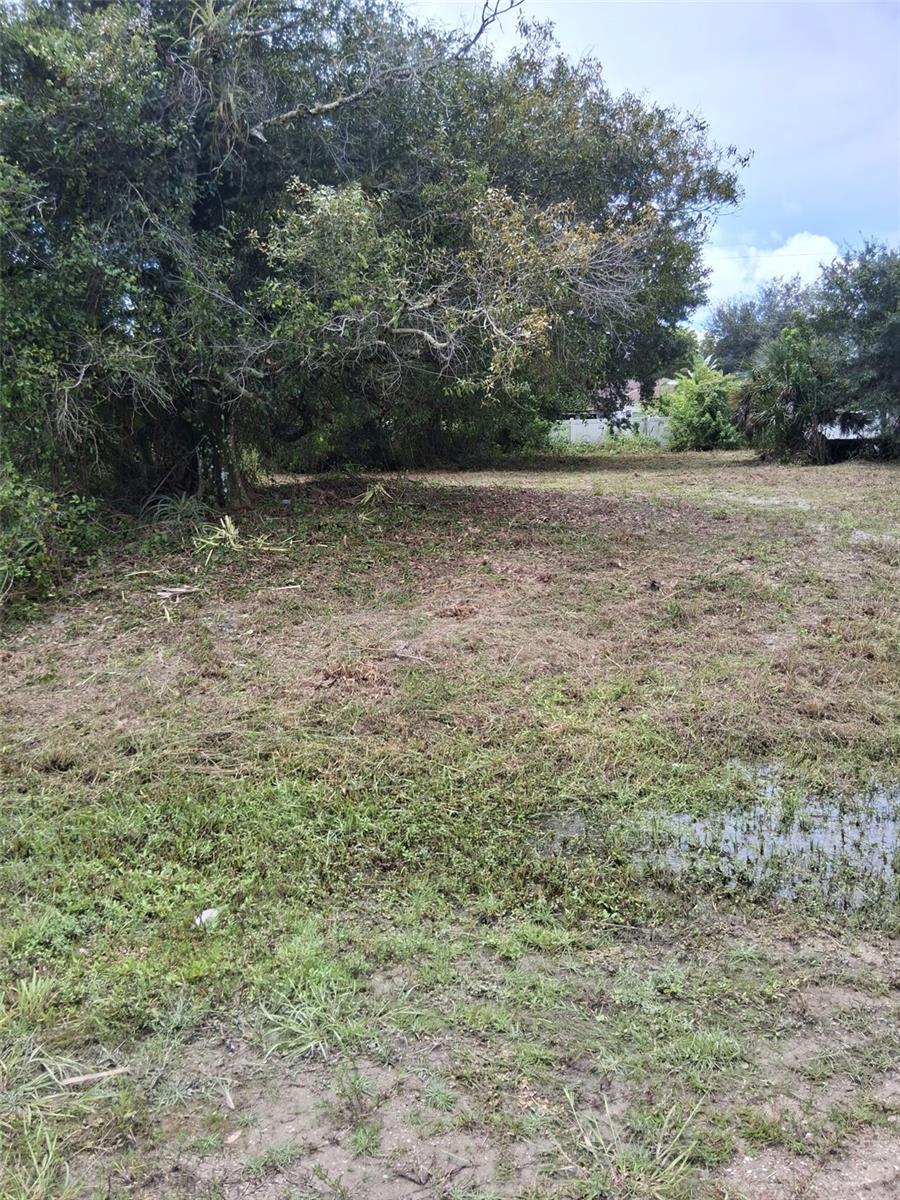 14070 CARLOS STREET, FORT MYERS, FL, 33905