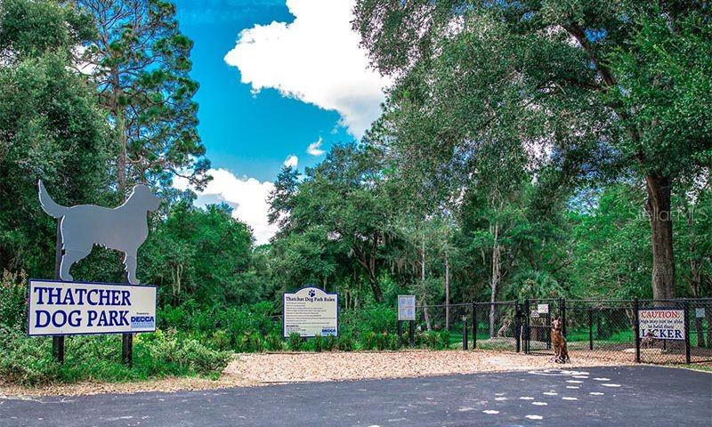 8038 SW 108TH LOOP, OCALA, FL, 34481