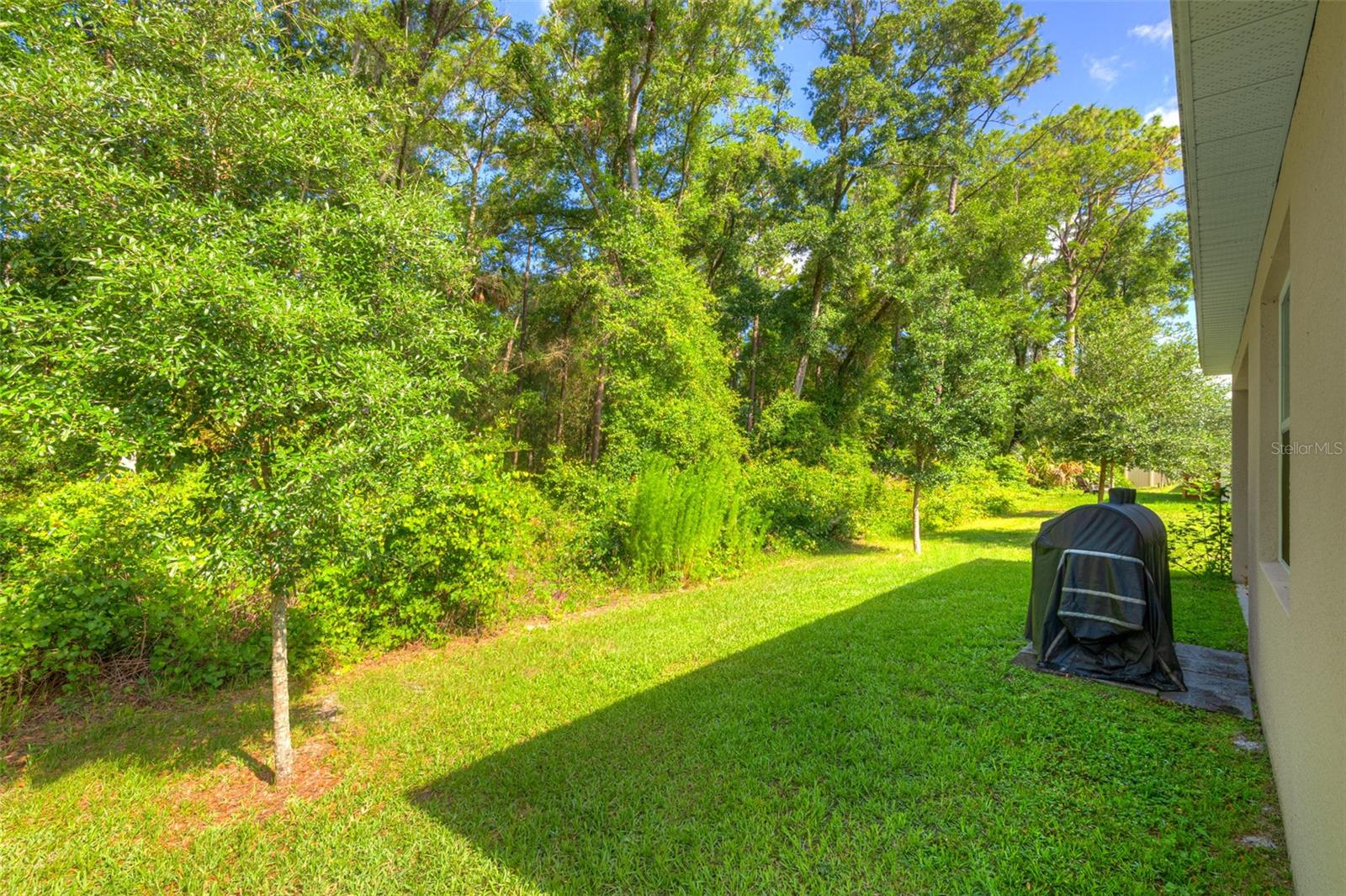 372 PELHAM PARK DR, DELAND, FL, 32720