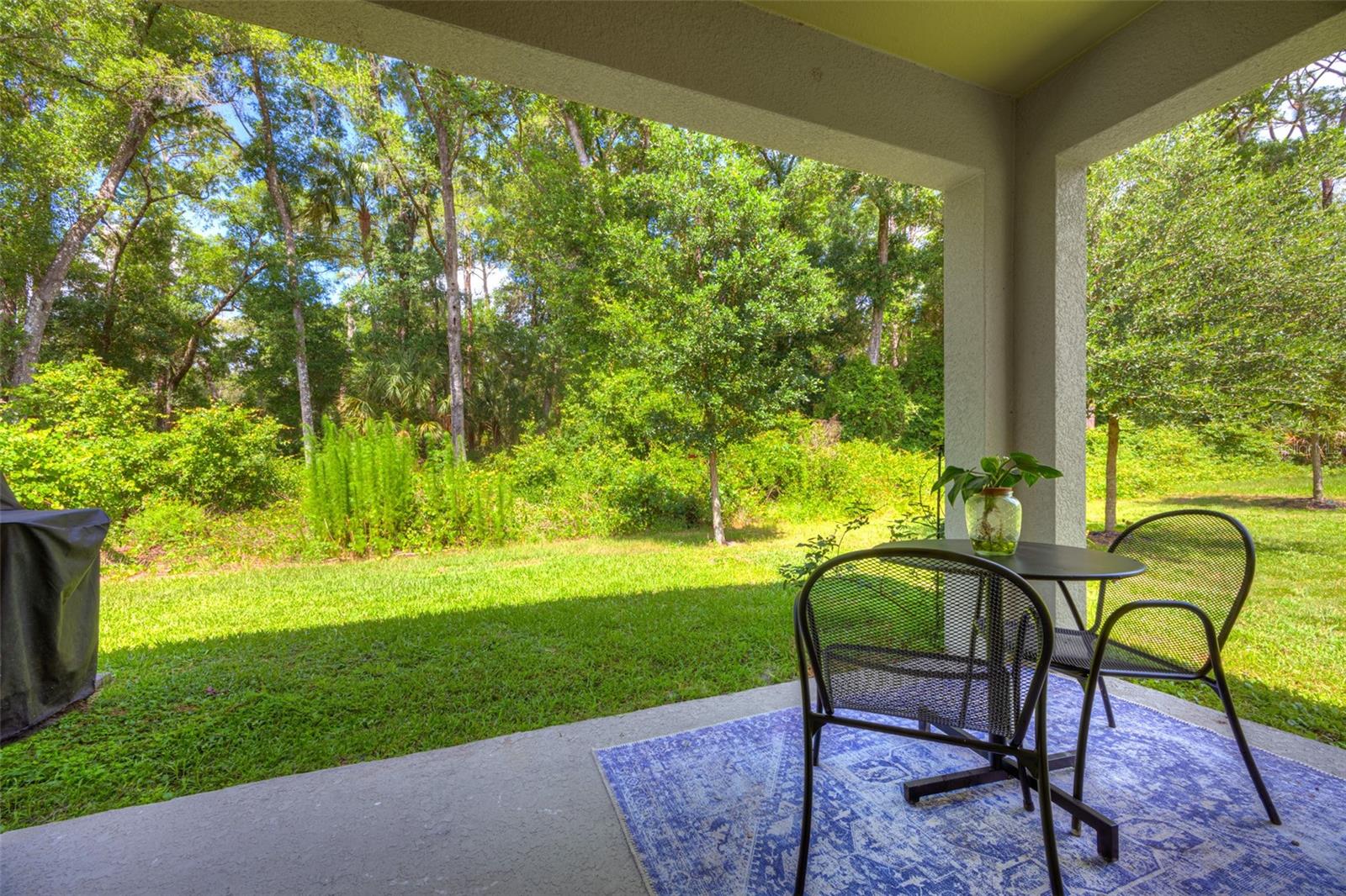372 PELHAM PARK DR, DELAND, FL, 32720