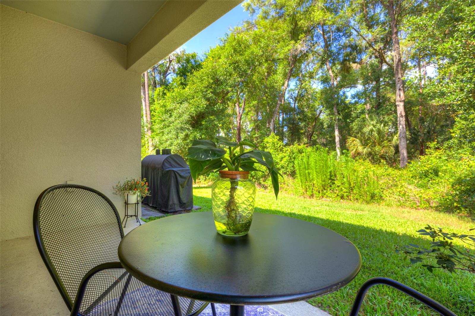 372 PELHAM PARK DR, DELAND, FL, 32720