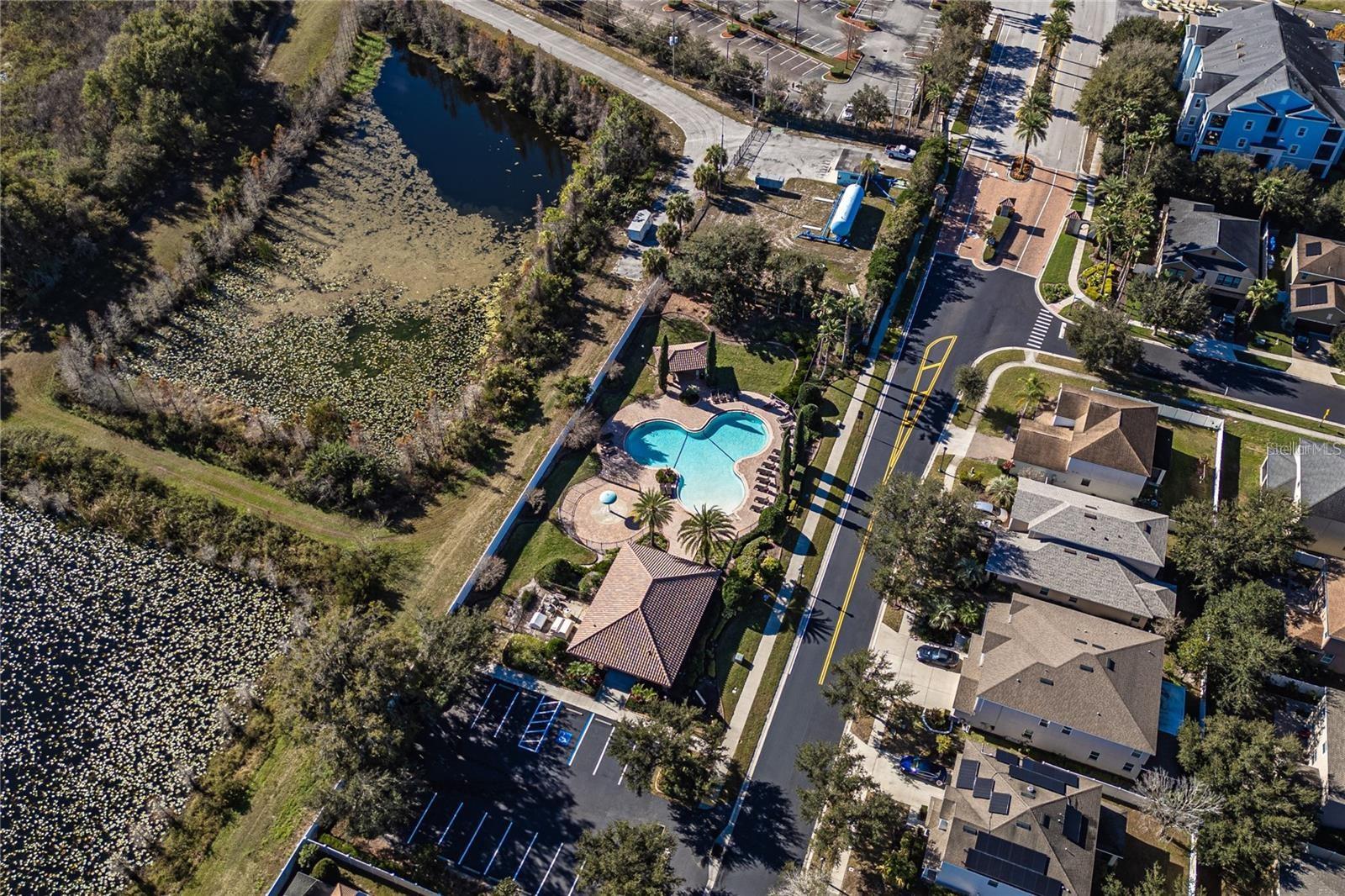 24115 SAN GIOVANNI DR, LAND O LAKES, FL, 34639