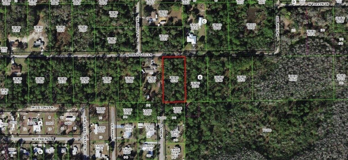 8266 W ANNA GAIL LN, CRYSTAL RIVER, FL, 34429