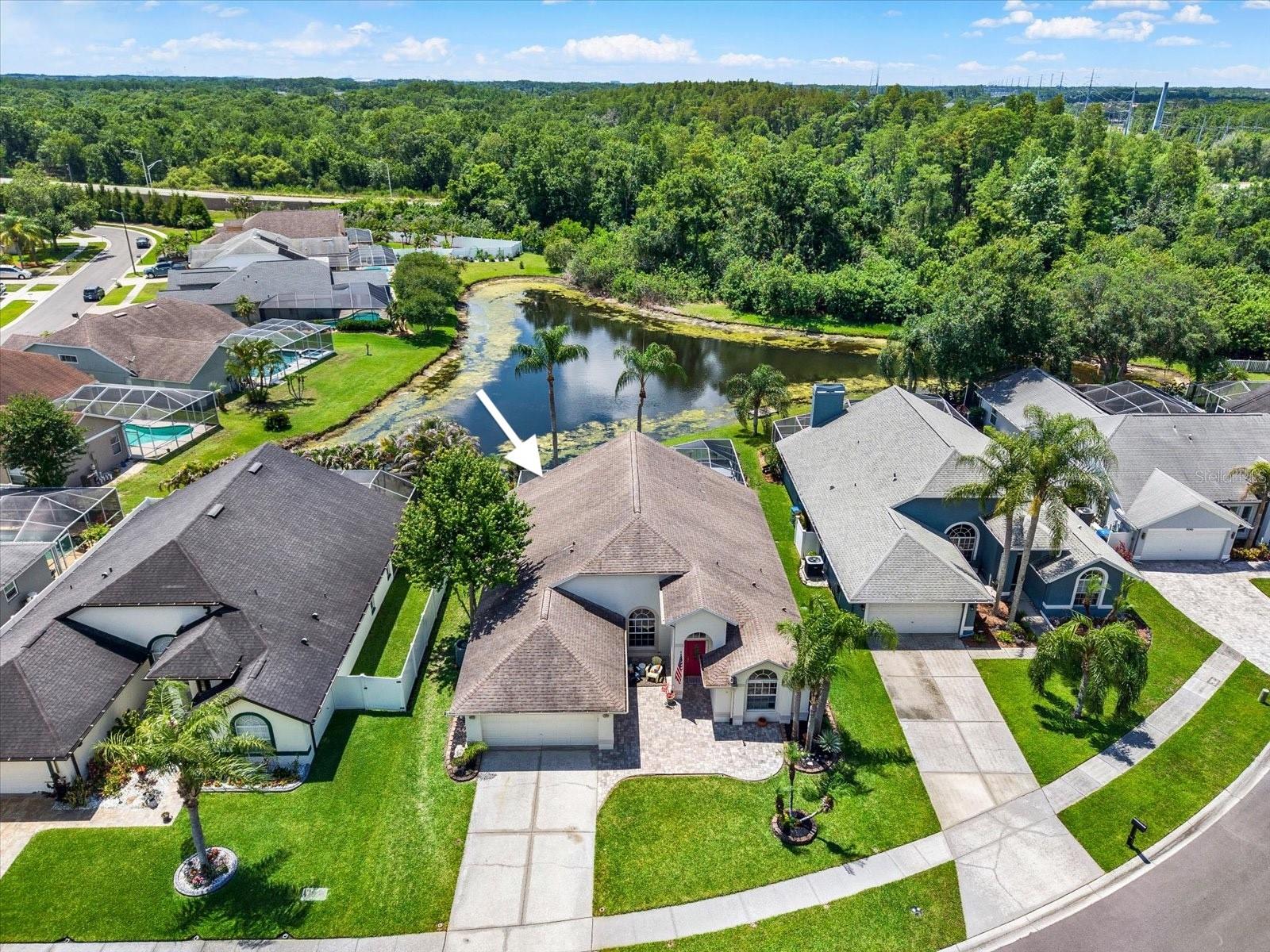 9042 BRELAND DR, TAMPA, FL, 33626