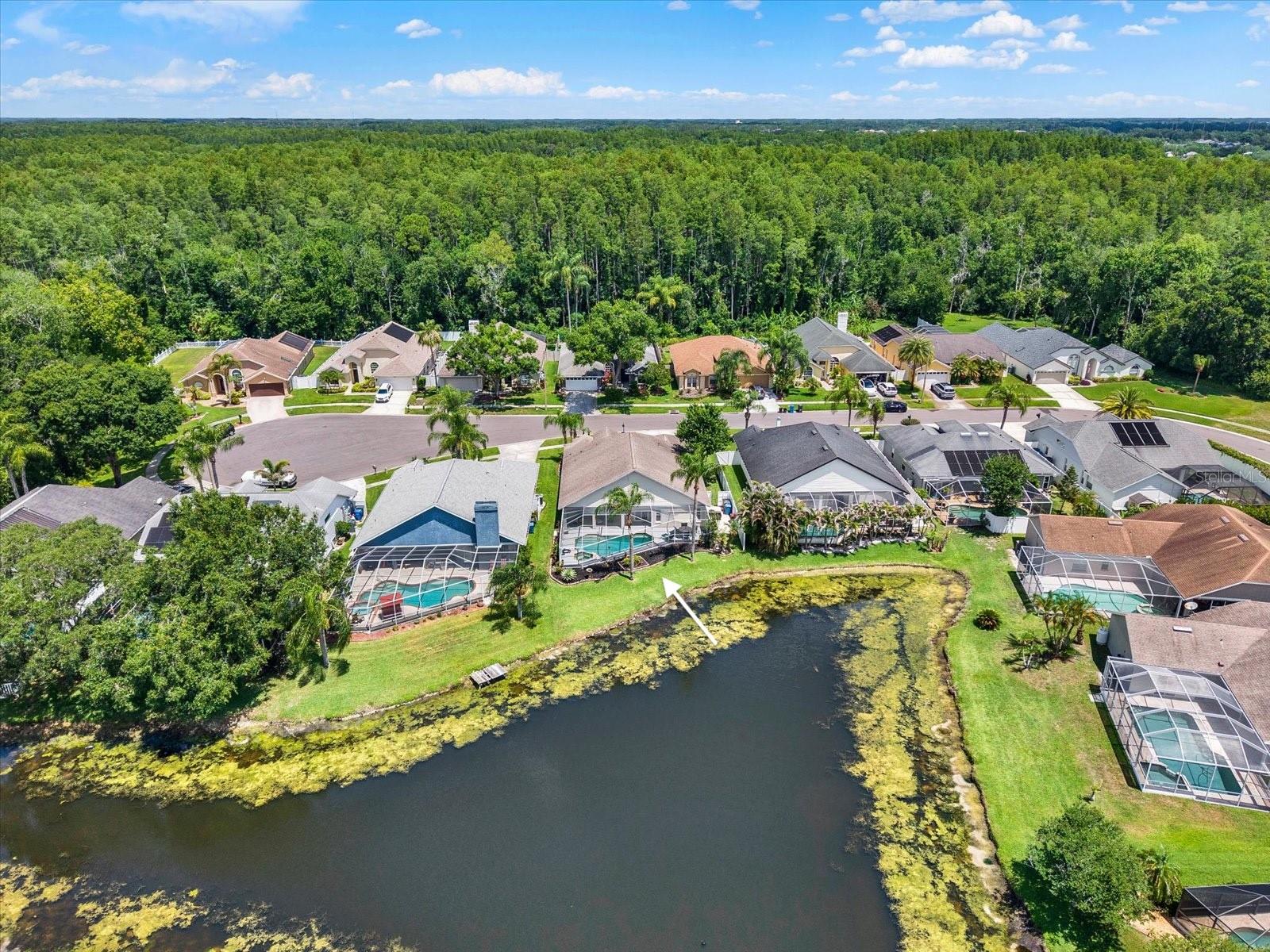 9042 BRELAND DR, TAMPA, FL, 33626