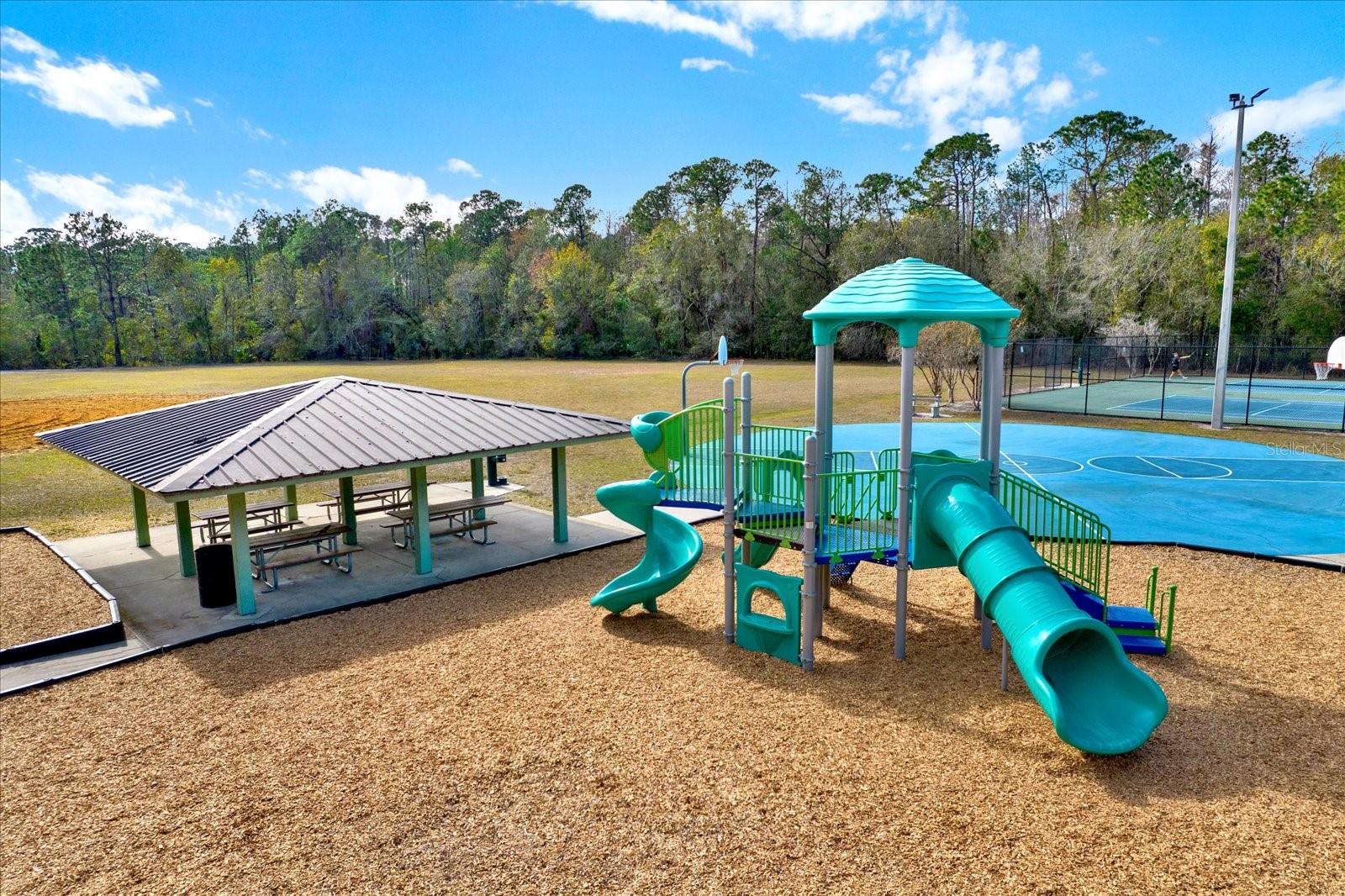 9042 BRELAND DR, TAMPA, FL, 33626