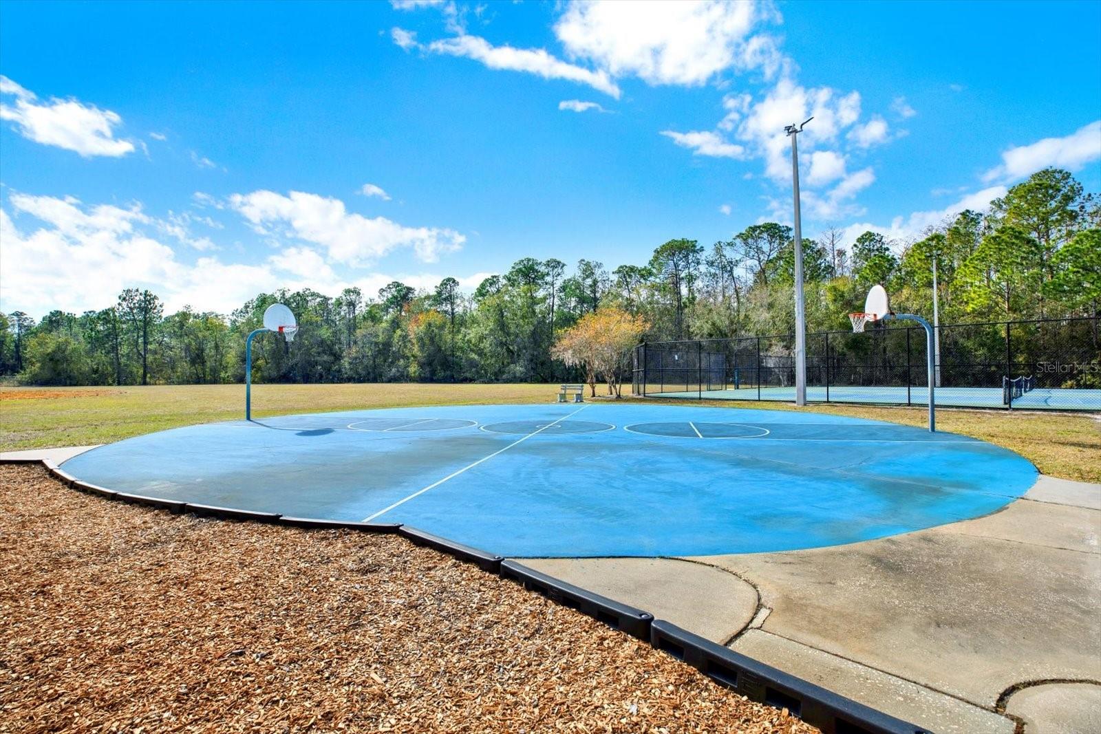 9042 BRELAND DR, TAMPA, FL, 33626