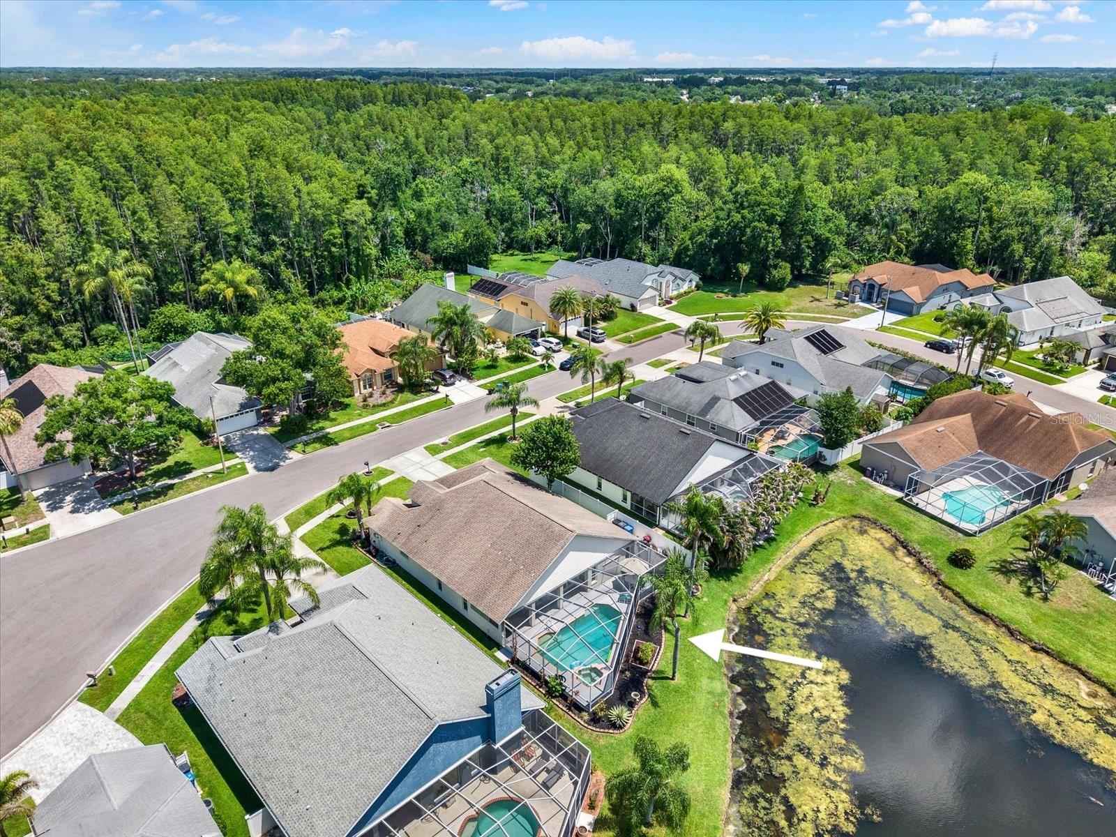 9042 BRELAND DR, TAMPA, FL, 33626