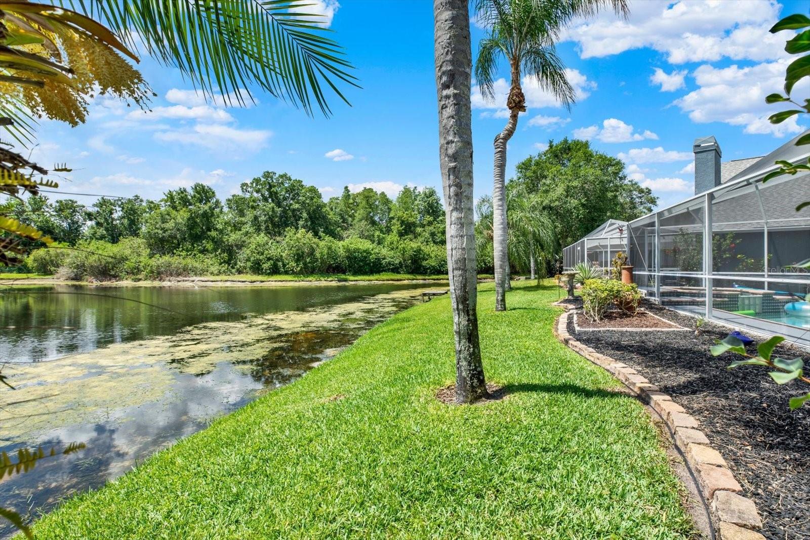 9042 BRELAND DR, TAMPA, FL, 33626