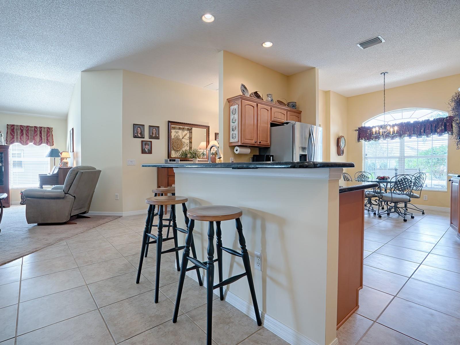 1979 REMBERT RD, THE VILLAGES, FL, 32162