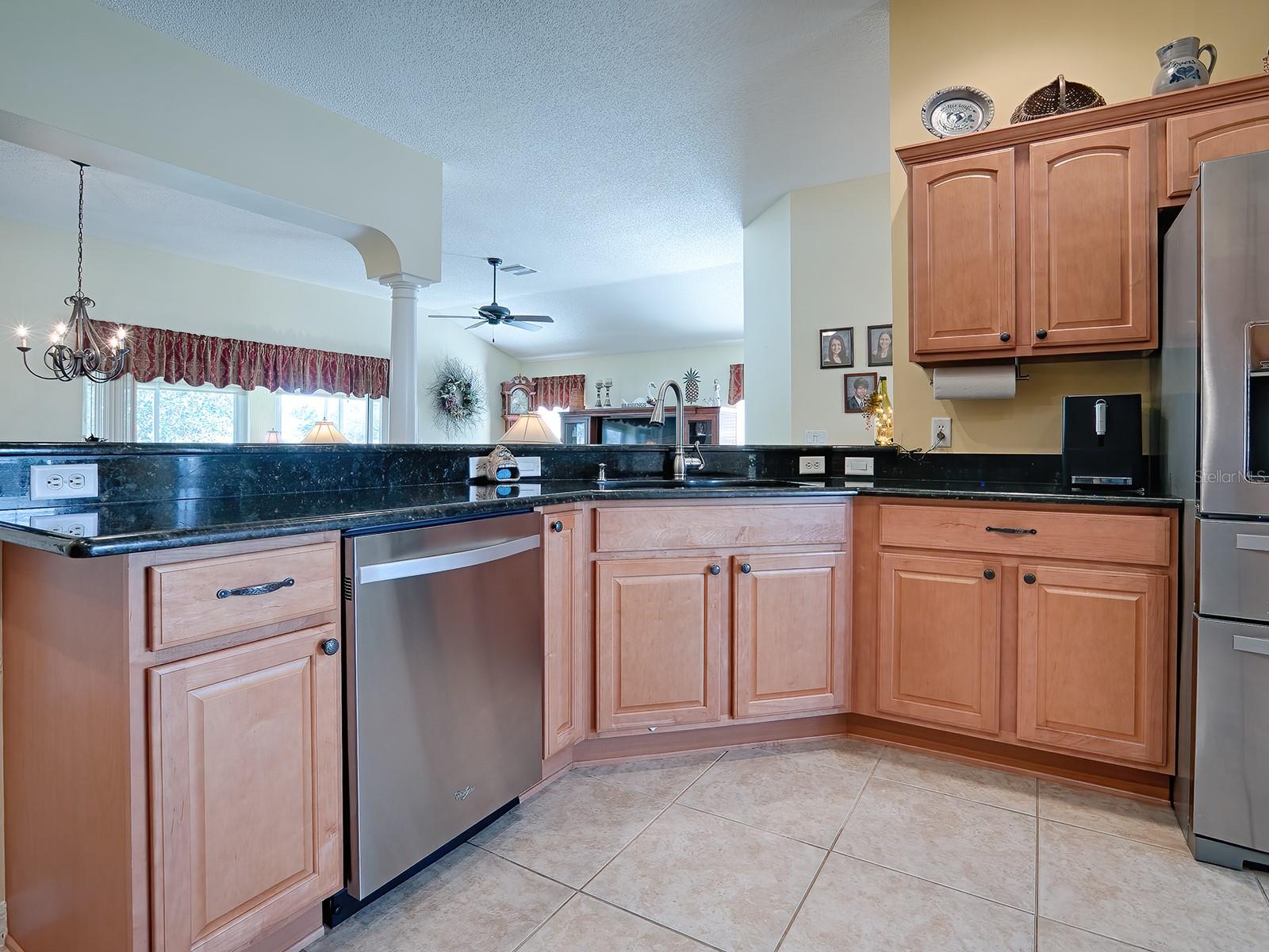 1979 REMBERT RD, THE VILLAGES, FL, 32162