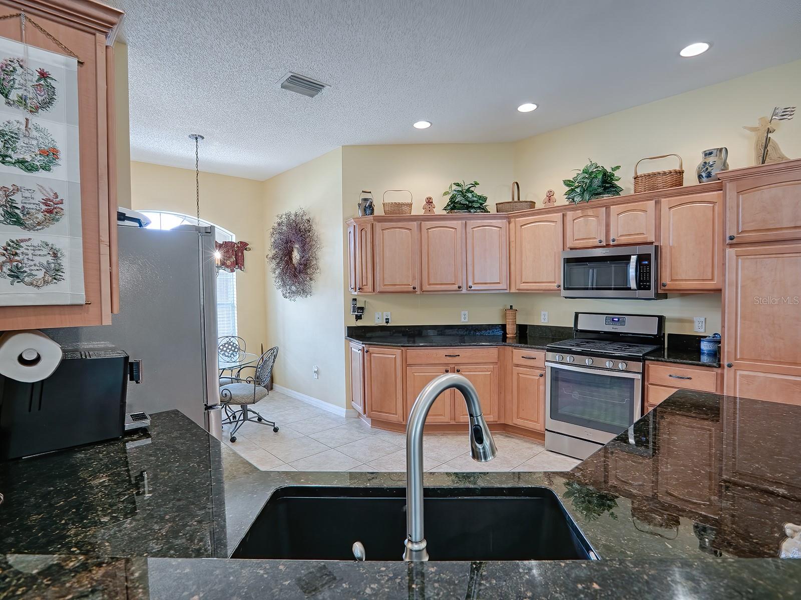 1979 REMBERT RD, THE VILLAGES, FL, 32162