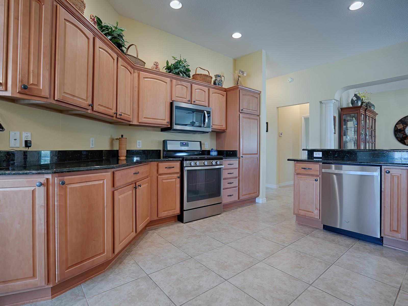 1979 REMBERT RD, THE VILLAGES, FL, 32162