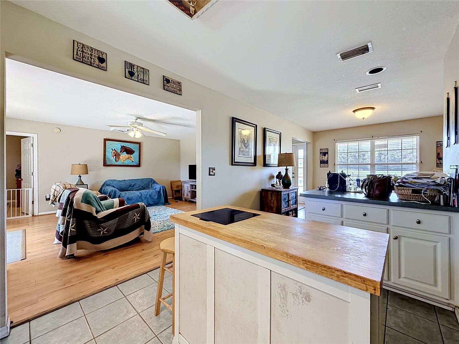 20540 SW 5TH PL, DUNNELLON, FL, 34431