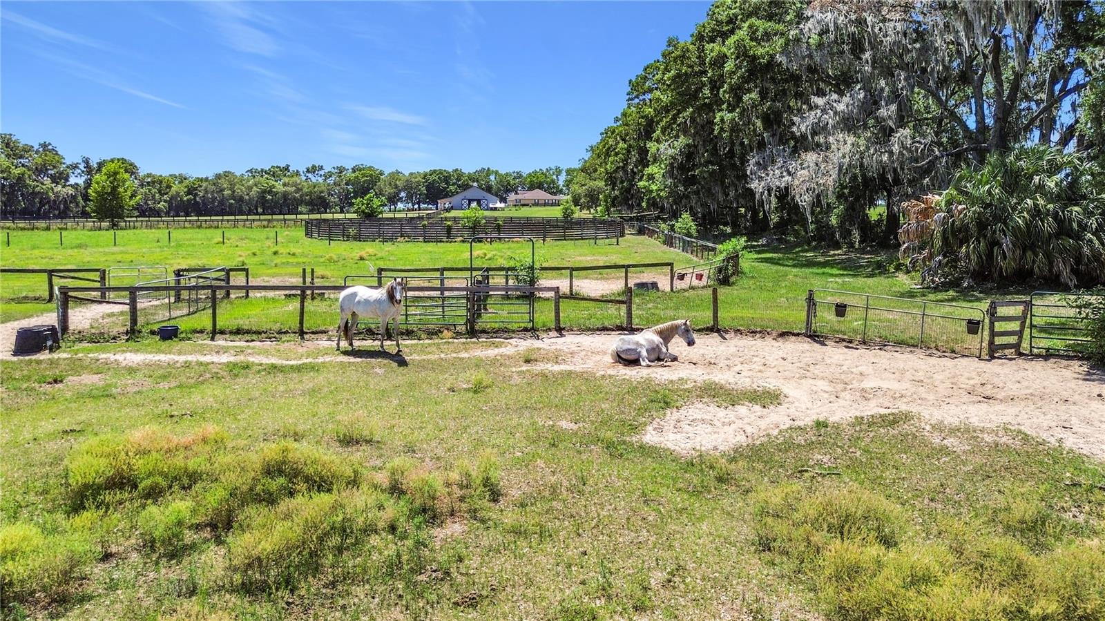 20540 SW 5TH PL, DUNNELLON, FL, 34431