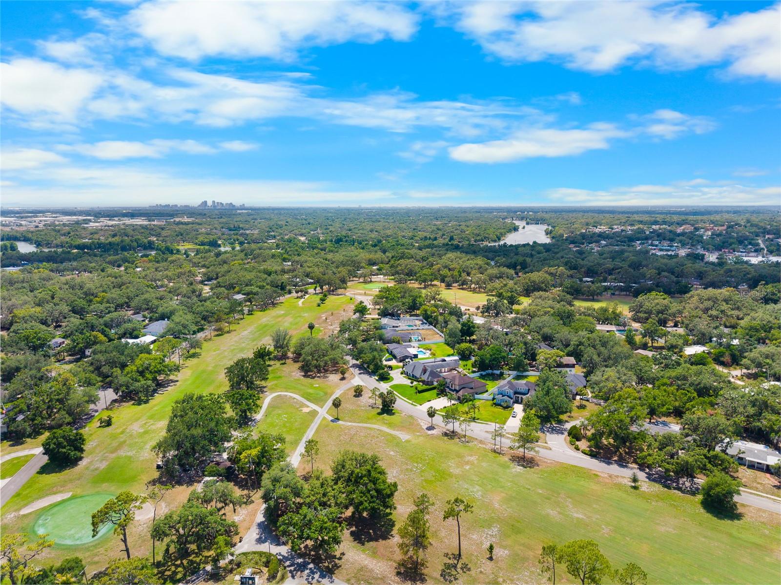 315 S GLEN ARVEN AVE, TAMPA, FL, 33617