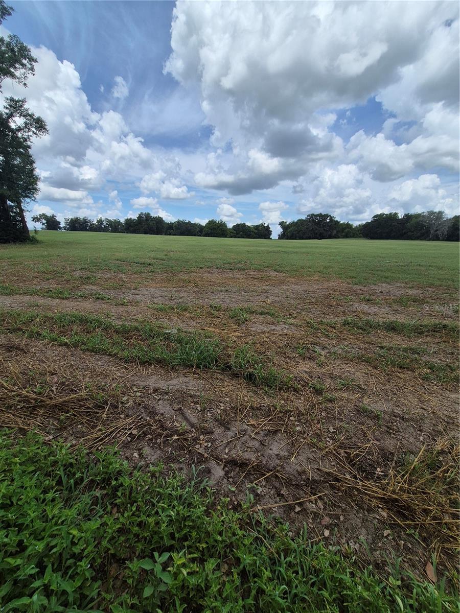 8748 NE JACKSONVILLE RD, ANTHONY, FL, 32617