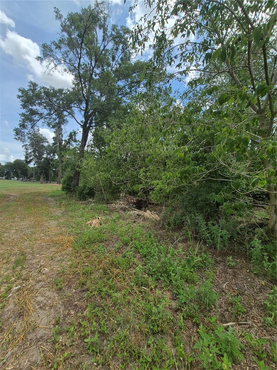 8748 NE JACKSONVILLE RD, ANTHONY, FL, 32617