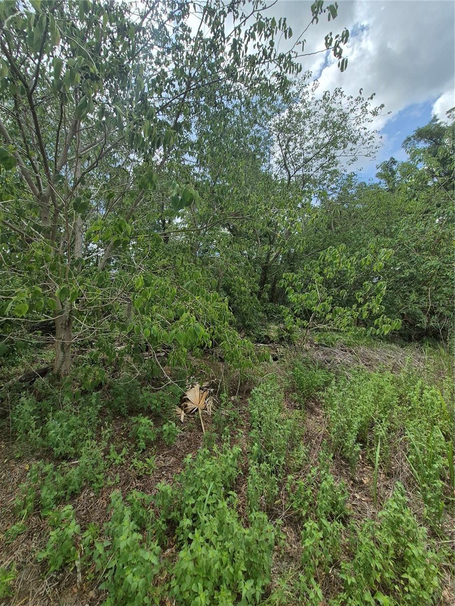 8748 NE JACKSONVILLE RD, ANTHONY, FL, 32617