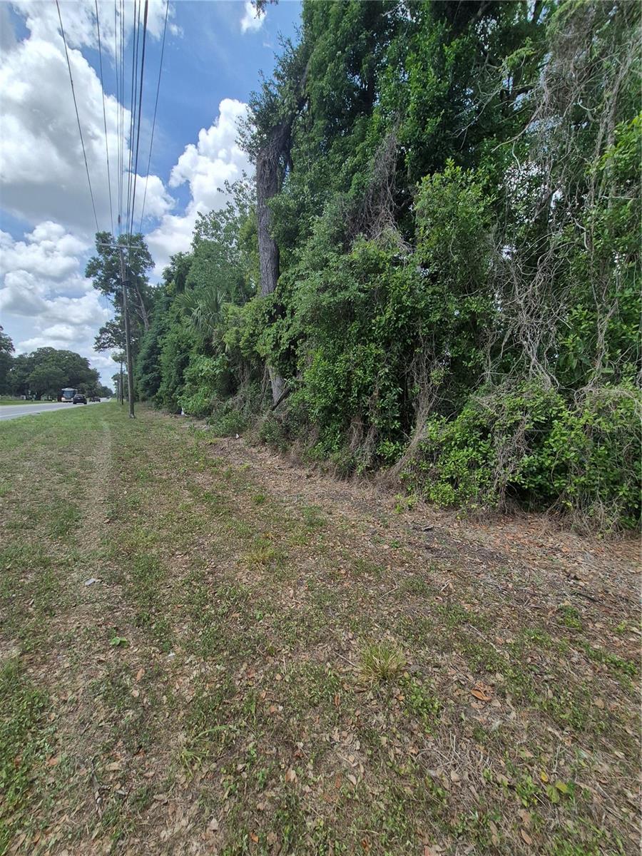 8748 NE JACKSONVILLE RD, ANTHONY, FL, 32617