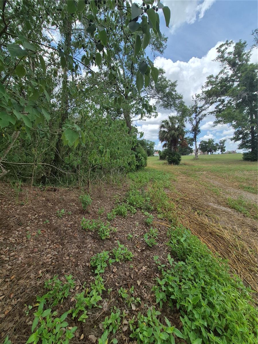 8748 NE JACKSONVILLE RD, ANTHONY, FL, 32617
