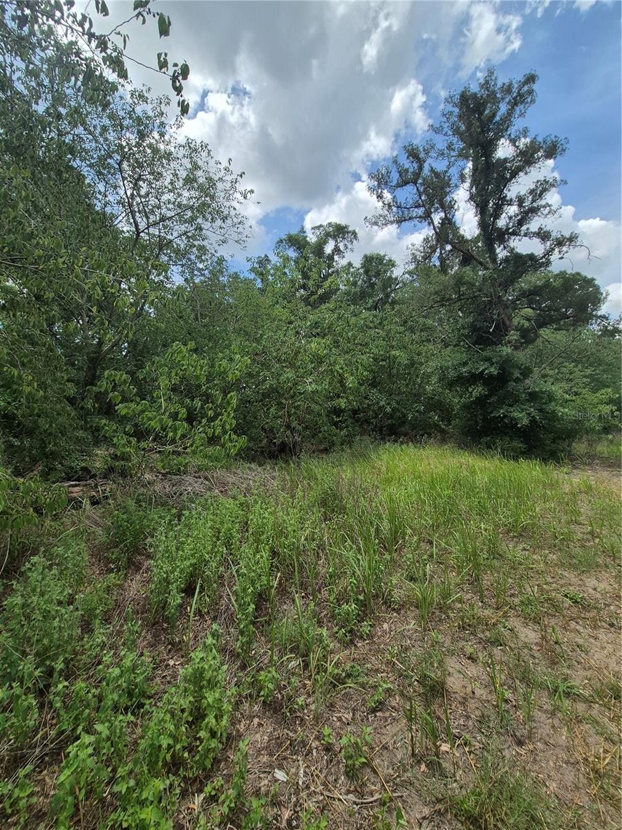 8748 NE JACKSONVILLE RD, ANTHONY, FL, 32617