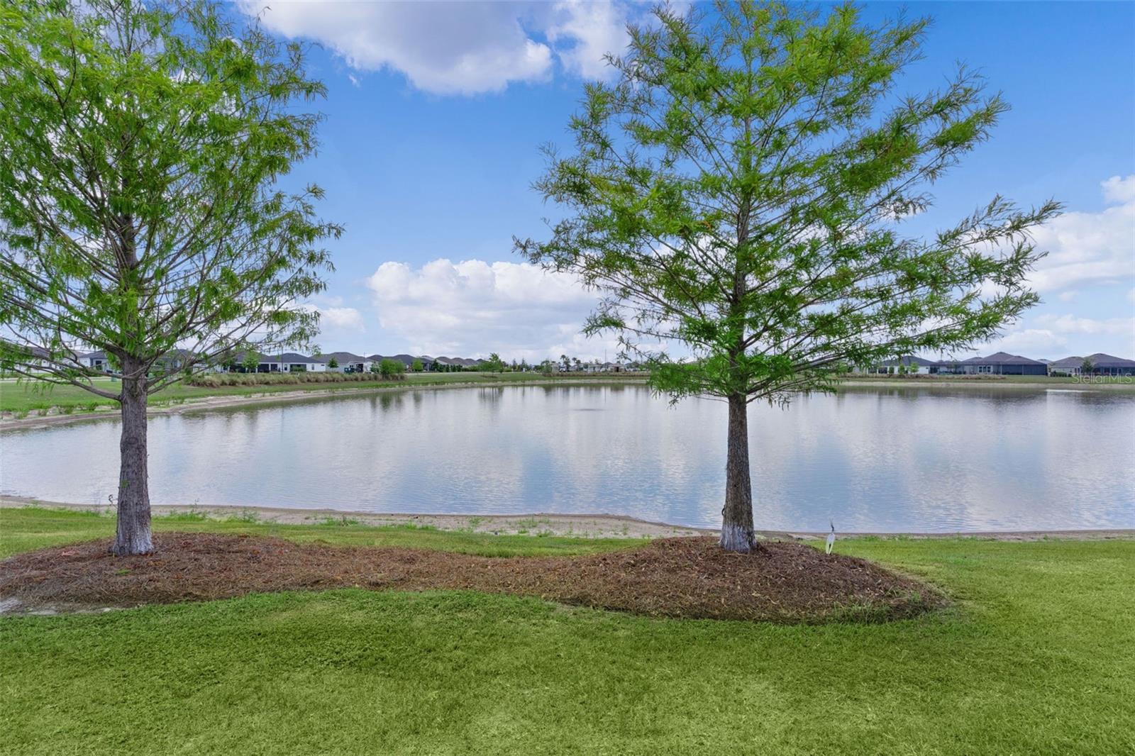 1617 CALDORETTE DR, THE VILLAGES, FL, 34762