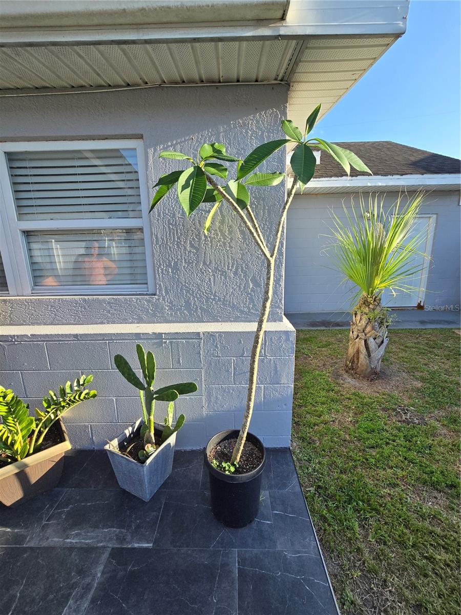 3252 SAN PEDRO LN, ORLANDO, FL, 32827