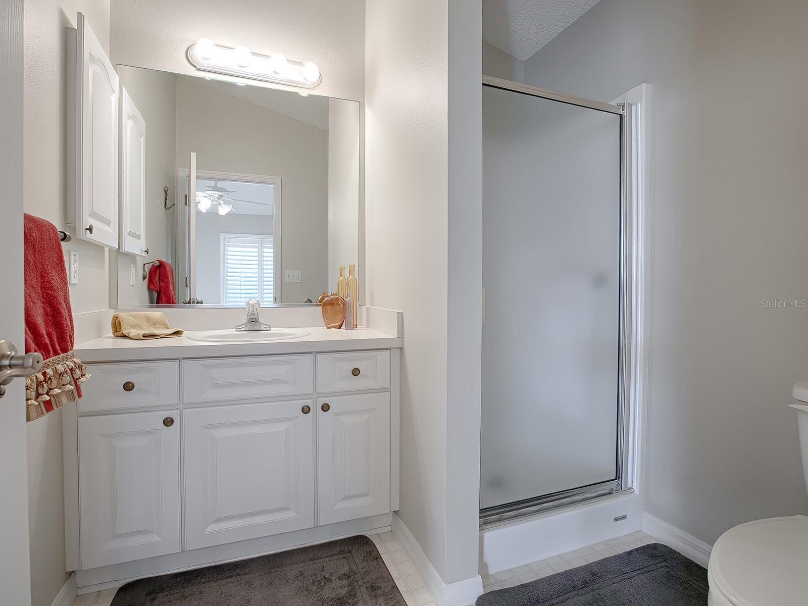 1129 SANTA CRUZ DR, THE VILLAGES, FL, 32162