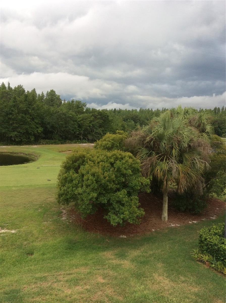 10515 CORAL KEY AVE, TAMPA, FL, 33647