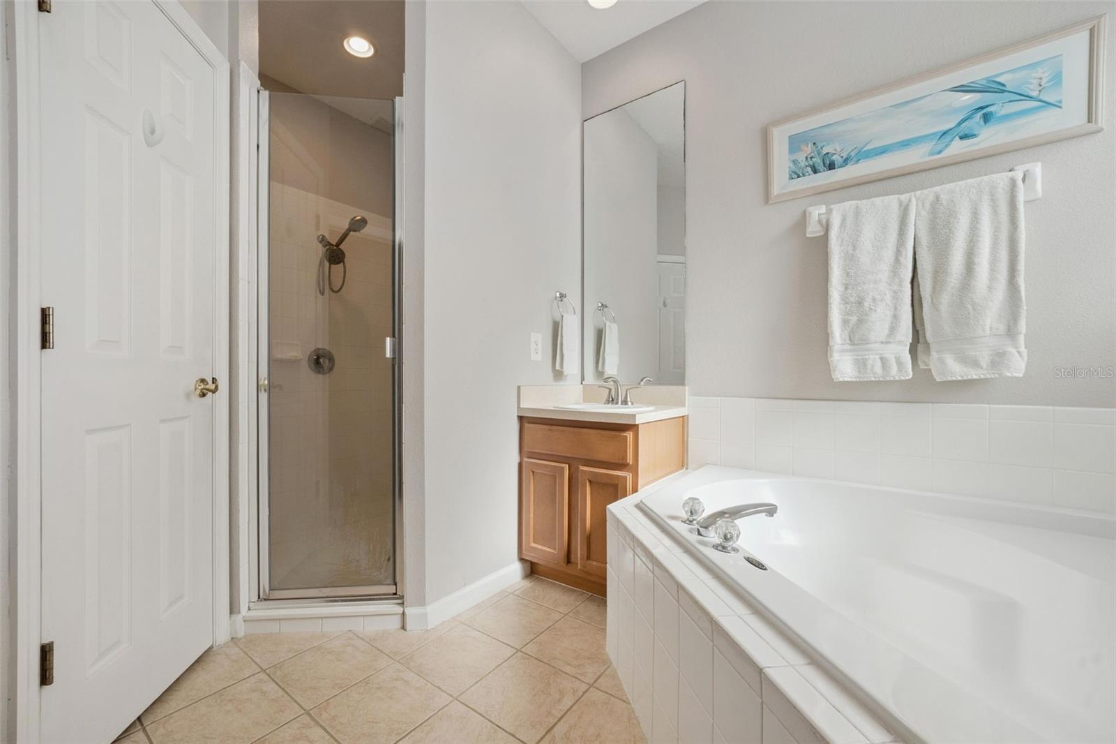 2790 BLUE SPRINGS CV, OVIEDO, FL, 32766
