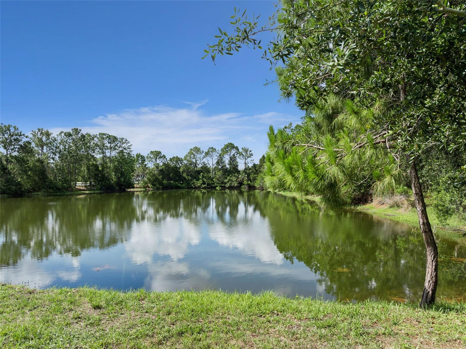 2790 BLUE SPRINGS CV, OVIEDO, FL, 32766